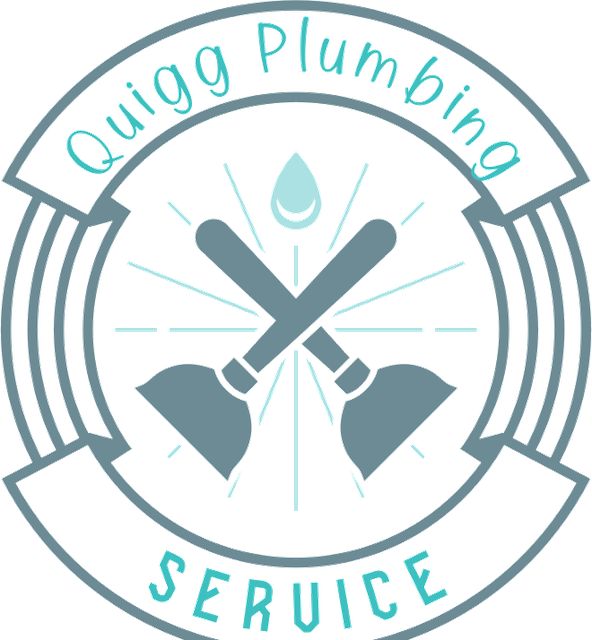 Quigg Plumbing Service badge logo — crossed pipe wrench and plunger beneath a water droplet